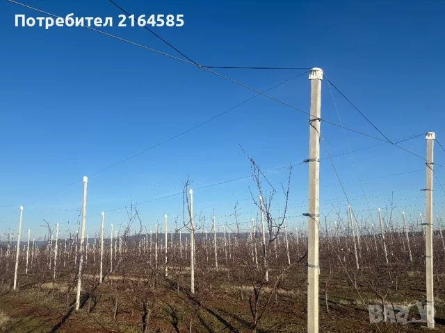 Резитба  на овощни градини