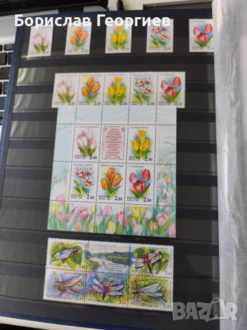 Руски пощенски марки с класьори, снимка 4 - Филателия - 54122141