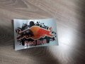 Гланциран стикер лепенка РЕД БУЛ RED BULL 18 см х 11 см за кола автомобил джип ван пикап камион , снимка 2