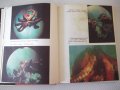 Книга "Октоподите - Жак-Ив Кусто / Филип Диоле" - 200 стр., снимка 4