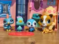 Littlest Pet Shop (LPS) Hasbro животинки (Generation 3/2), снимка 1