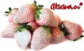 200 семена от плод бяла ягода органични плодови бели ягодови семена от вкусни ягоди отлични плодове , снимка 9