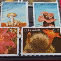 Пощенски марки серия Растения, Гъби стари редки за колекция декорация - 22024, снимка 4 - Филателия - 36641512