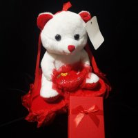 Комплект Колие + Кутийка + Плюшено мече Подарък за жена за Свети Валентин, снимка 2 - Подаръци за жени - 44253810