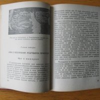 Занимателна минералогия.  Автор: А.Е.Фьорсман., снимка 2 - Енциклопедии, справочници - 42569116
