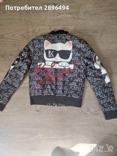 Karl, снимка 1