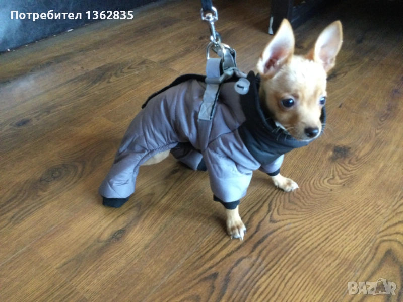 НОВ топъл сив зимен гащеризон за куче от Италия S и M размер, снимка 1
