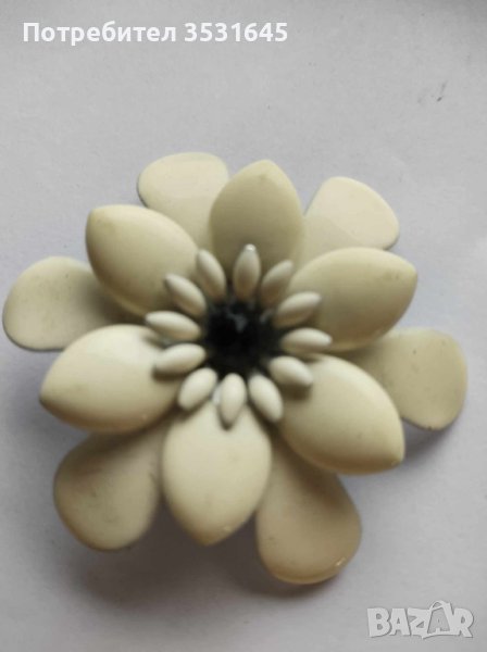 Две красиви брожки, снимка 1