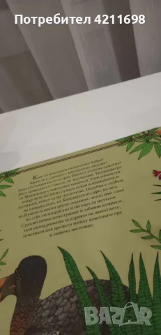 "Малки и големиистории за изчезналите животни"-Елен Ражкак и Дамиен Лавердюн, снимка 2 - Енциклопедии, справочници - 48168475