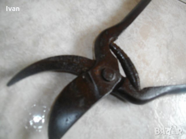 Стара Немска Лозарска-Овощарска Ножица-Ръчно Кована-Ретро-Винтидж, снимка 11 - Други инструменти - 34447821