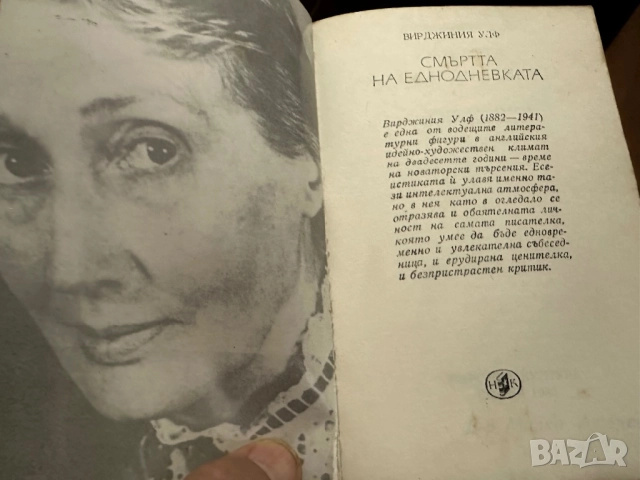 Вирджиния Улф -Мисис Далауей-Орландо-Смъртта на еднодневката, снимка 7 - Художествена литература - 52031793