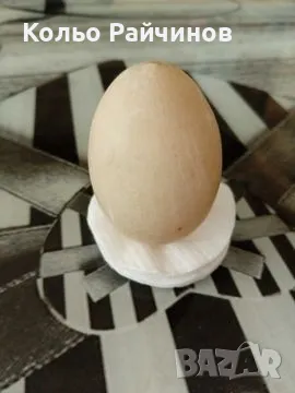 Оплодени яйца от Неми патици , снимка 1