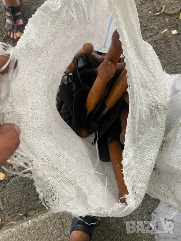 Продавам войнишки лопатки (русия), снимка 13 - Други ценни предмети - 33324051