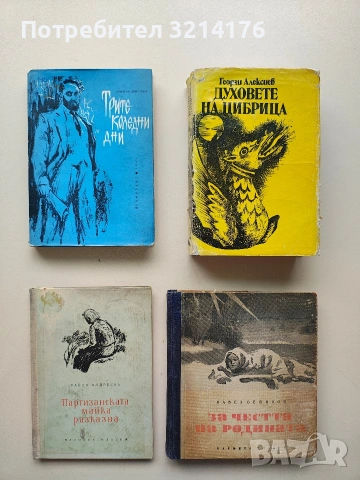 Трите коледни дни - Димитър Добревски