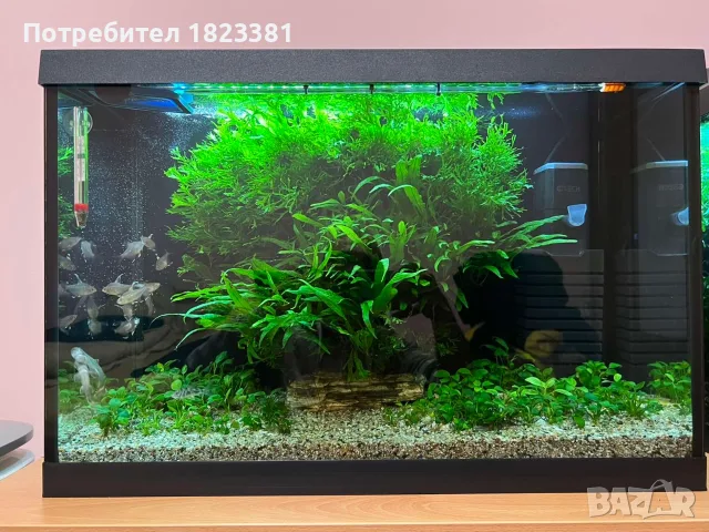 Аквариум AquaEl, снимка 3 - Аквариуми - 56485290
