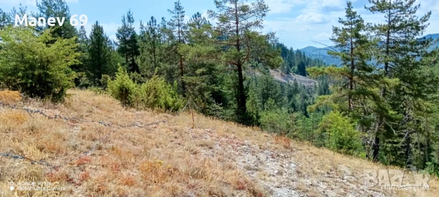 Продавам парцел в Родопите  с.Габрица.🌲, снимка 8 - Парцели - 50738610