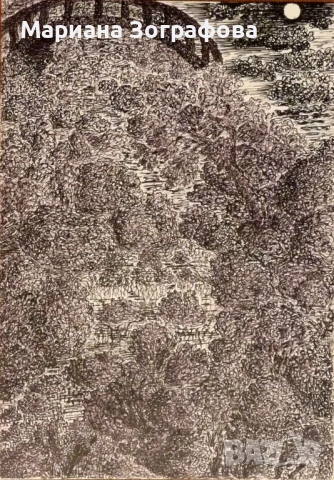 Картина-офорт, худ. Т. Манолов 1988 г., - Графики - худ. М. Зографова, - и Голяма дървена рамка, снимка 17 - Антикварни и старинни предмети - 49137840