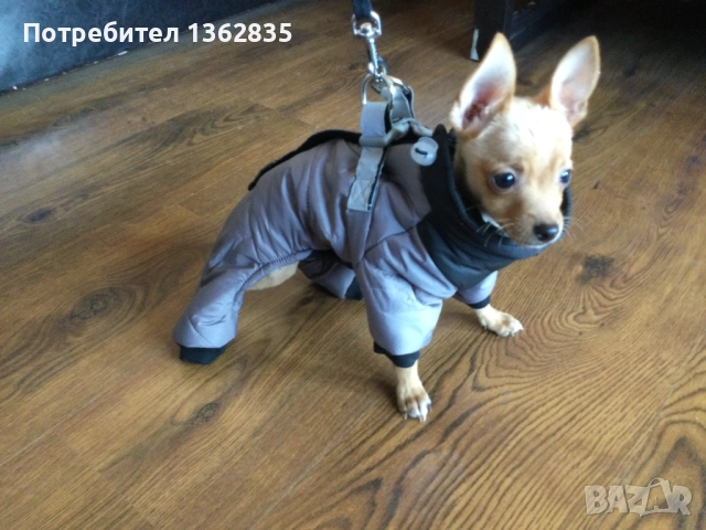 НОВ топъл сив зимен гащеризон за куче от Италия S и M размер
