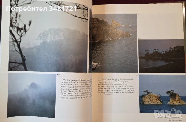 Япония - модели на приемственост / Japan. Patterns of Continuity, снимка 6 - Художествена литература - 54243921