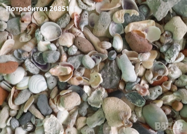 Морски мидички и камъчета, снимка 6 - Други стоки за дома - 52146747