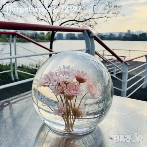 FUFIZU Кристална топка с маргаритки 