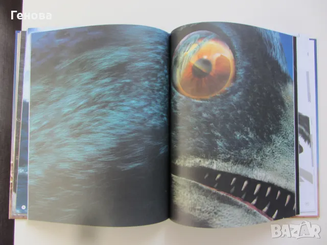 Детска енциклопедия " Ако Динозаврите бяха живи днес", снимка 4 - Детски книжки - 48431902