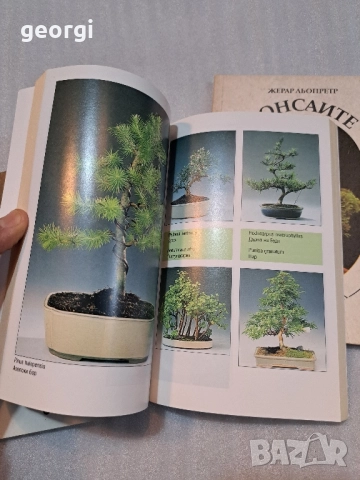 книги Бонсай Бонсаите 30/2, снимка 9 - Специализирана литература - 52668088