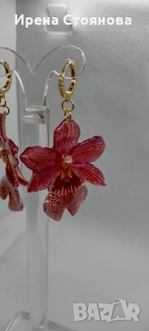 Обеци с естествен цвят на мини орхидея Miltonia. Цветче с размери 5/4,5 см. , снимка 4 - Обеци - 51090714
