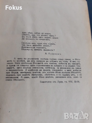 Антикварна книга - Бесове, снимка 5 - Антикварни и старинни предмети - 53328142