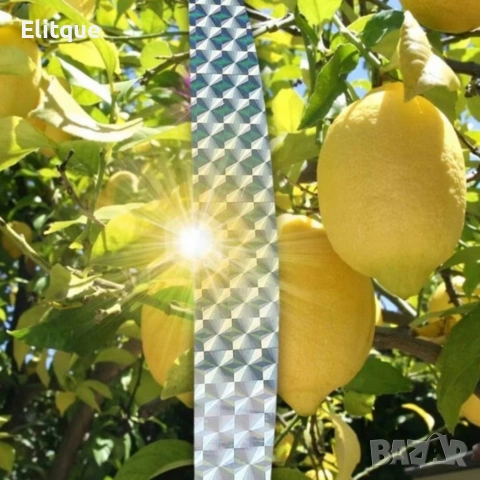 Холограмна лента против птици 50 м (4.5 см), снимка 7 - Други стоки за дома - 54219555