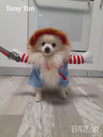 Дрехи за куче , снимка 3 - За кучета - 52553909