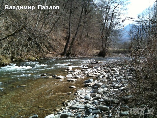 Аристократична къща, вила в курорта Рибарица, снимка 14 - Къщи - 38218254