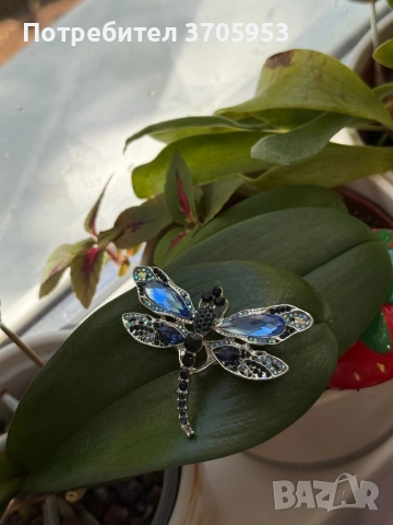 Различни видове брошки, снимка 9 - Колиета, медальони, синджири - 52172914