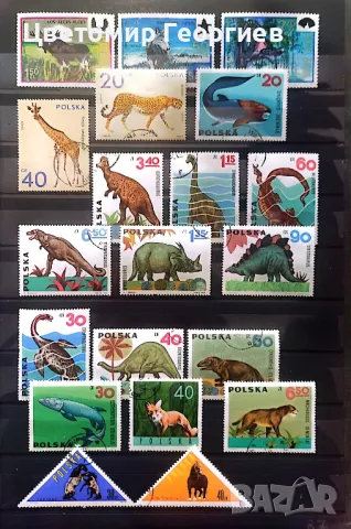 Животни 154 бр.марки. К.1, снимка 4 - Филателия - 48878418