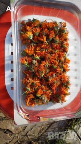 Продавам изсушени цветове на Невен  , снимка 3 - Други - 42427434