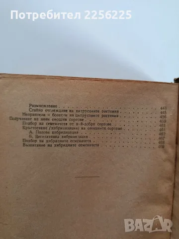 Овощарство 1955г, снимка 6 - Специализирана литература - 56271266