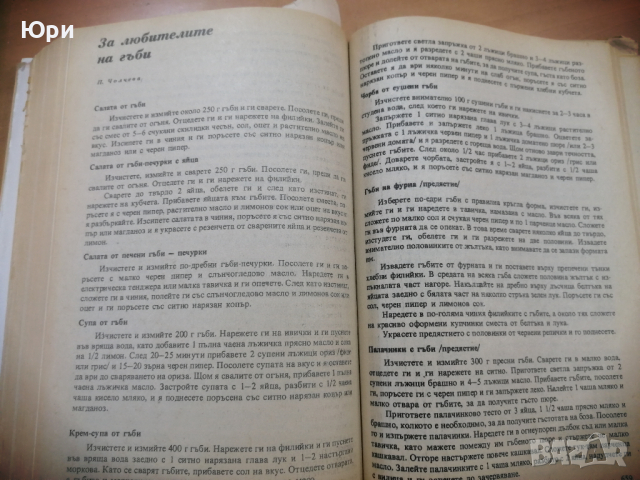 Продавам антикварна книга - Книга за всеки ден и дом 1977г, снимка 10 - Други - 44571681