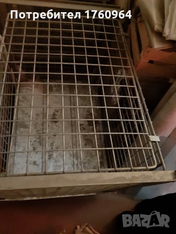 Кош палет метален сгъваем за продукти, снимка 6 - Стелажи и щандове - 23114247