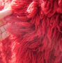 голям 220х150м. китеник губер халище килим червен цвят, вълна, вълнен, снимка 3