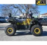 ATV BULLMAX INTRUDER 250сс, лебедка, теглич.
R/N/D автоматик, подгрев
, снимка 8