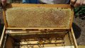 Пчелен мед и пчелни продукти : клеева , (прополисова) тинктура , прашец , тематични восъчни свещи, снимка 3