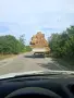 Малки Бали слама, снимка 4