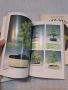 книги Бонсай Бонсаите 30/2, снимка 9