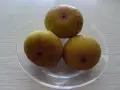 Смокини разсад в кофичка., снимка 9