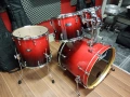 Pearl Vision Birch , снимка 2