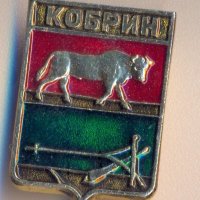 Значка Беларус Кобрин герб, снимка 1 - Колекции - 39029404