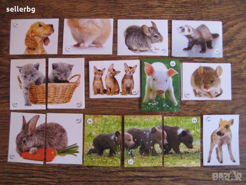 Картинки стикери лепенки Фантастико - Бебета животни, снимка 1
