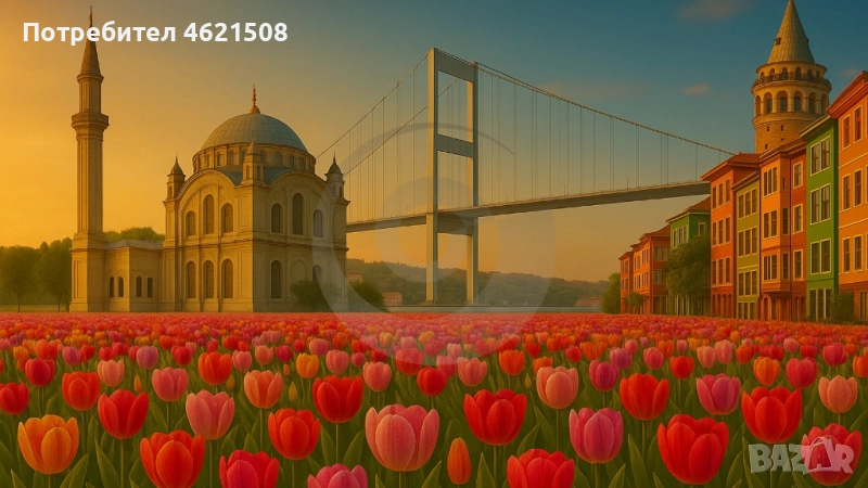 Истанбул в лалета🌷 – пролетна приказка край Босфора, снимка 1