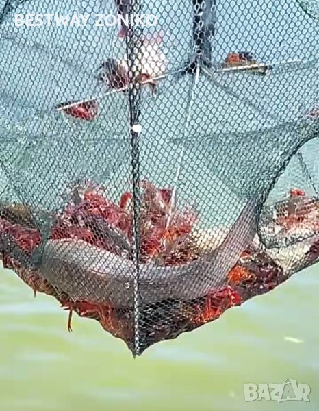  Рачило с цип, снимка 1