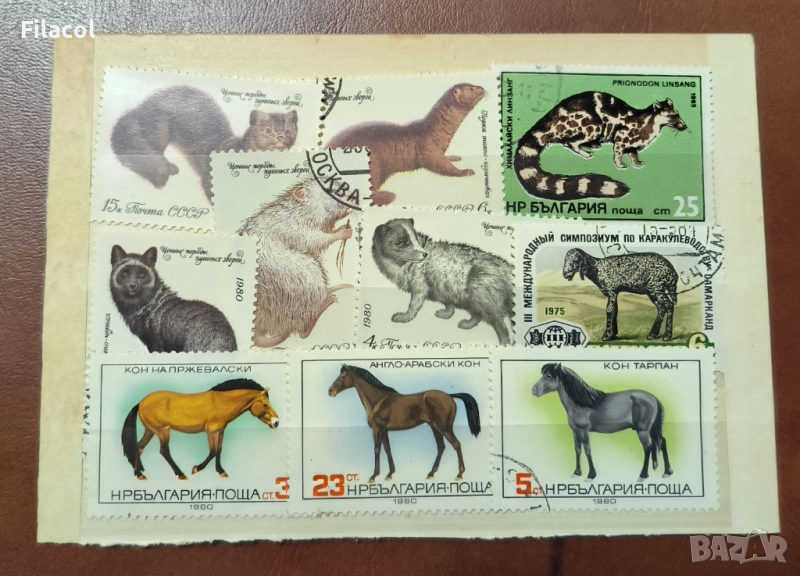 България Лот пощенски марки фауна, снимка 1